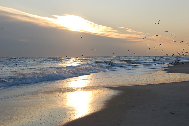 Jones Beach